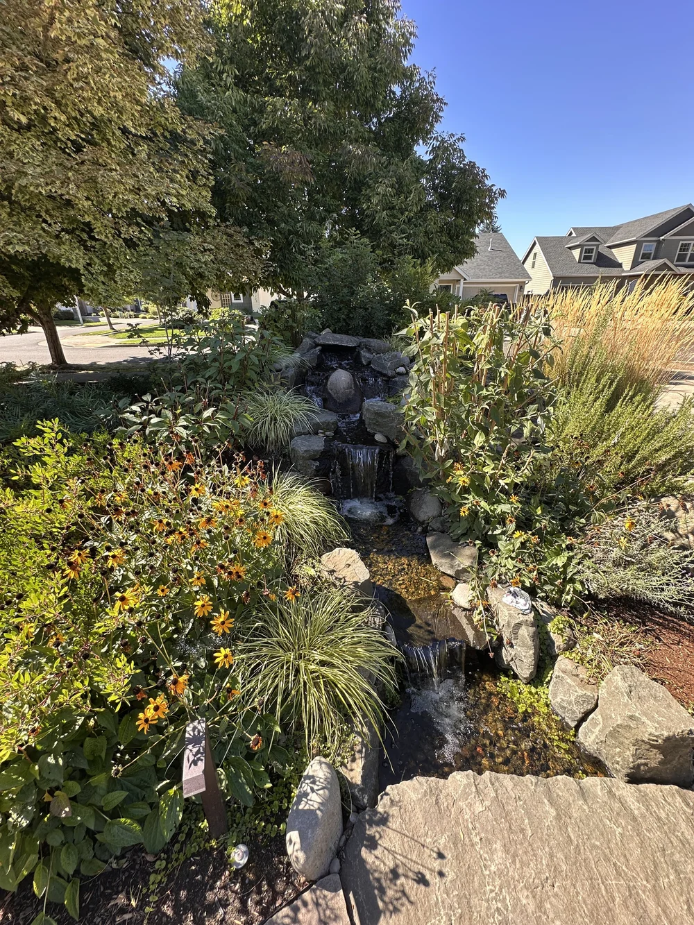 Satori Landscape Design project photograph 8