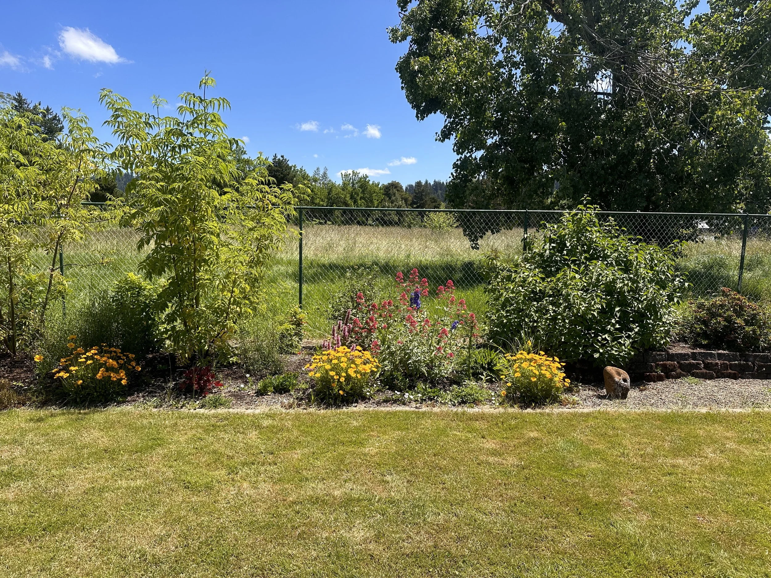 Satori Landscape Design project photograph