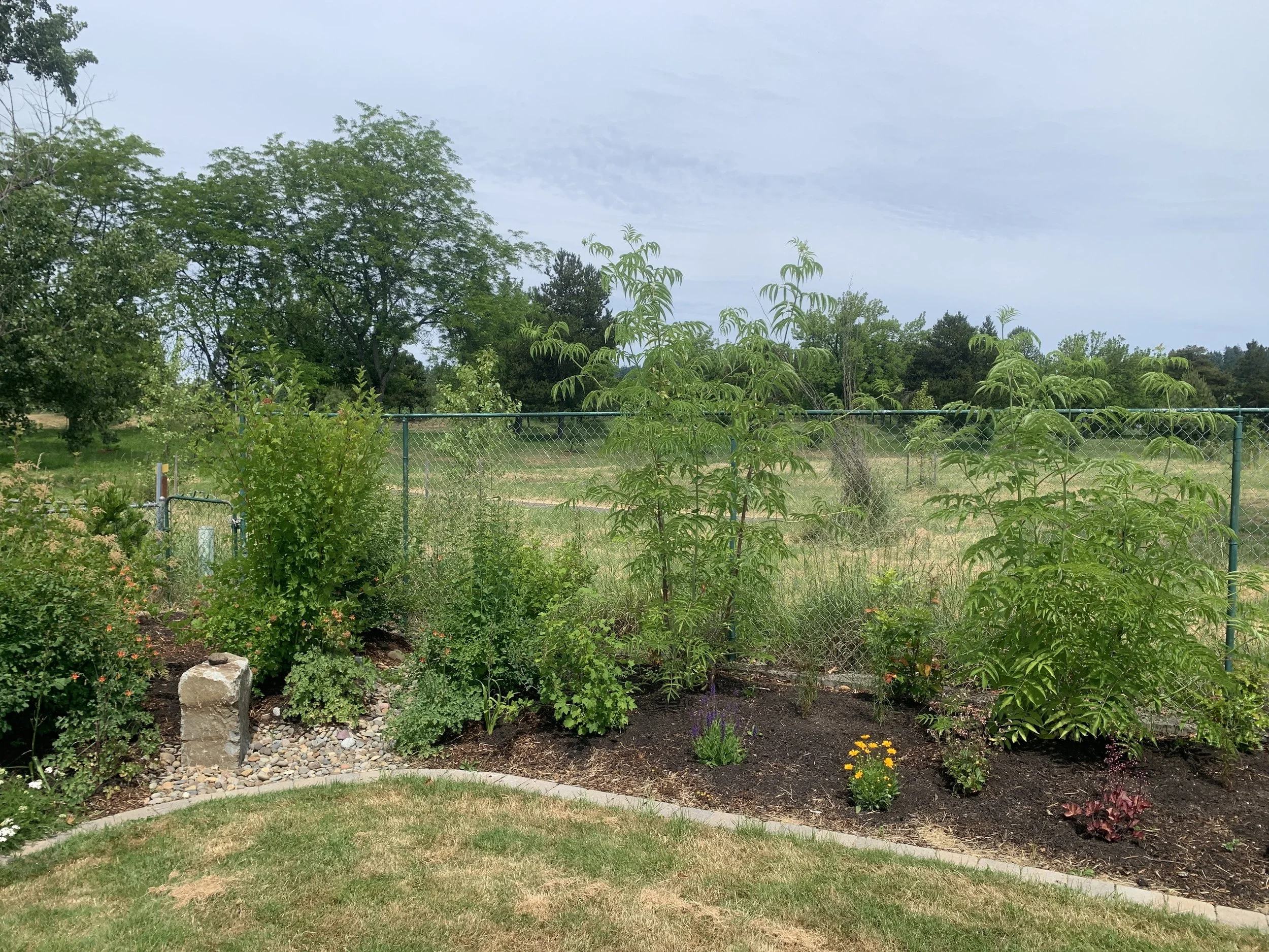 Satori Landscape Design project photograph