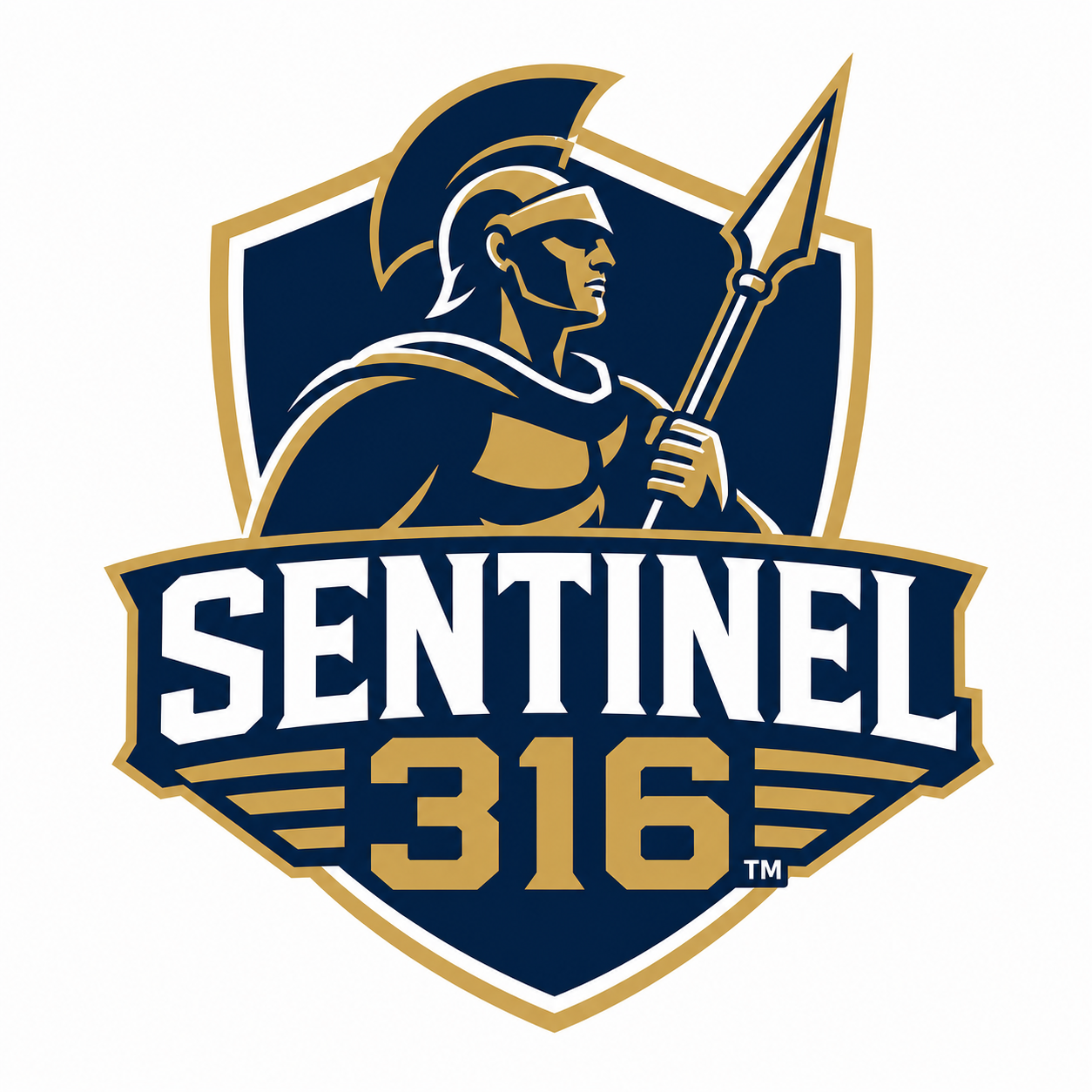 Logo of Sentinel 316 featuring a soldier in armor with a helmet and spear, set against a shield background, with the text 'Sentinel 316' below.