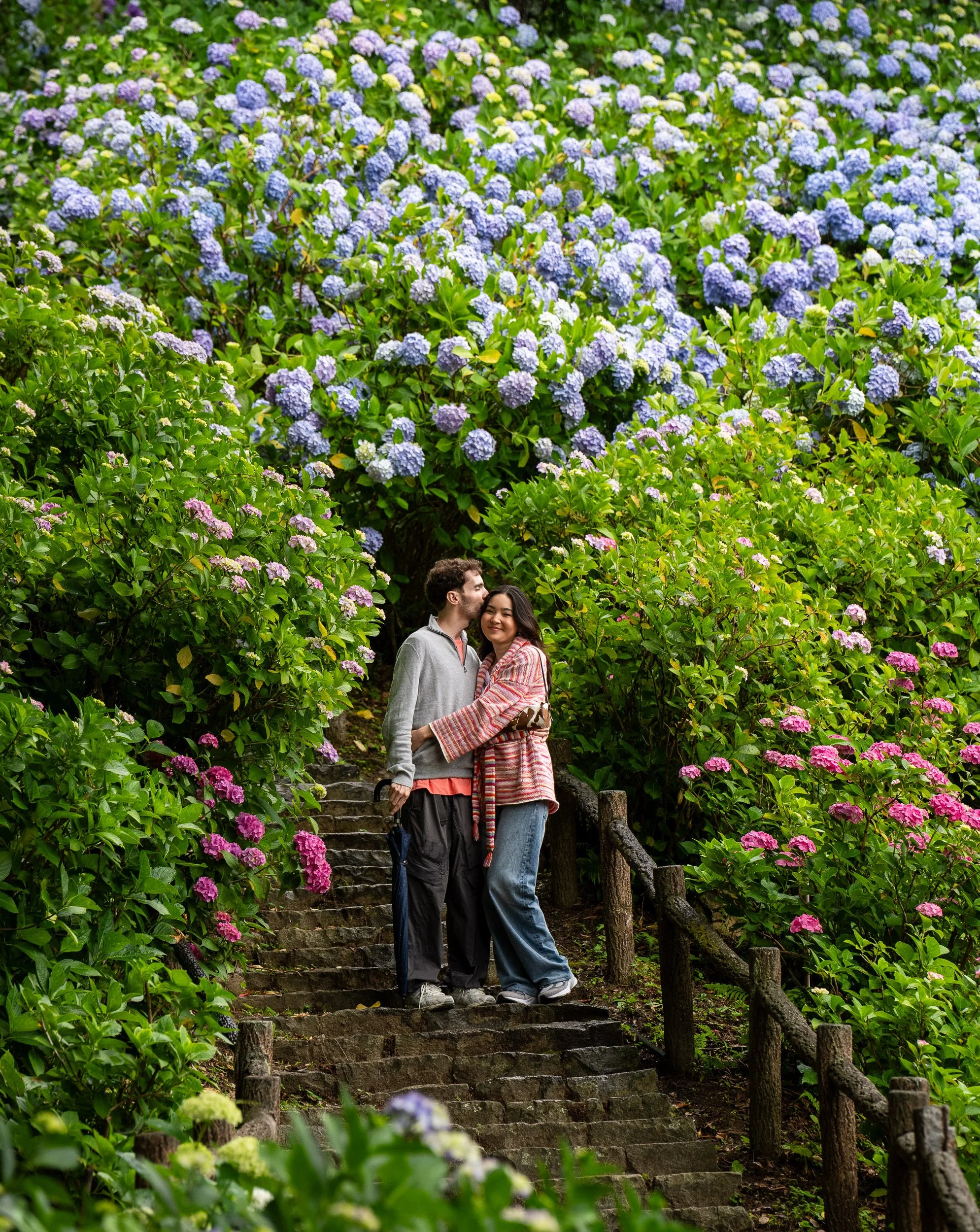 A couple standing on stone steps surrounded by lush green bushes and vibrant purple and pink hydrangea flowers, with a forested area in the background.