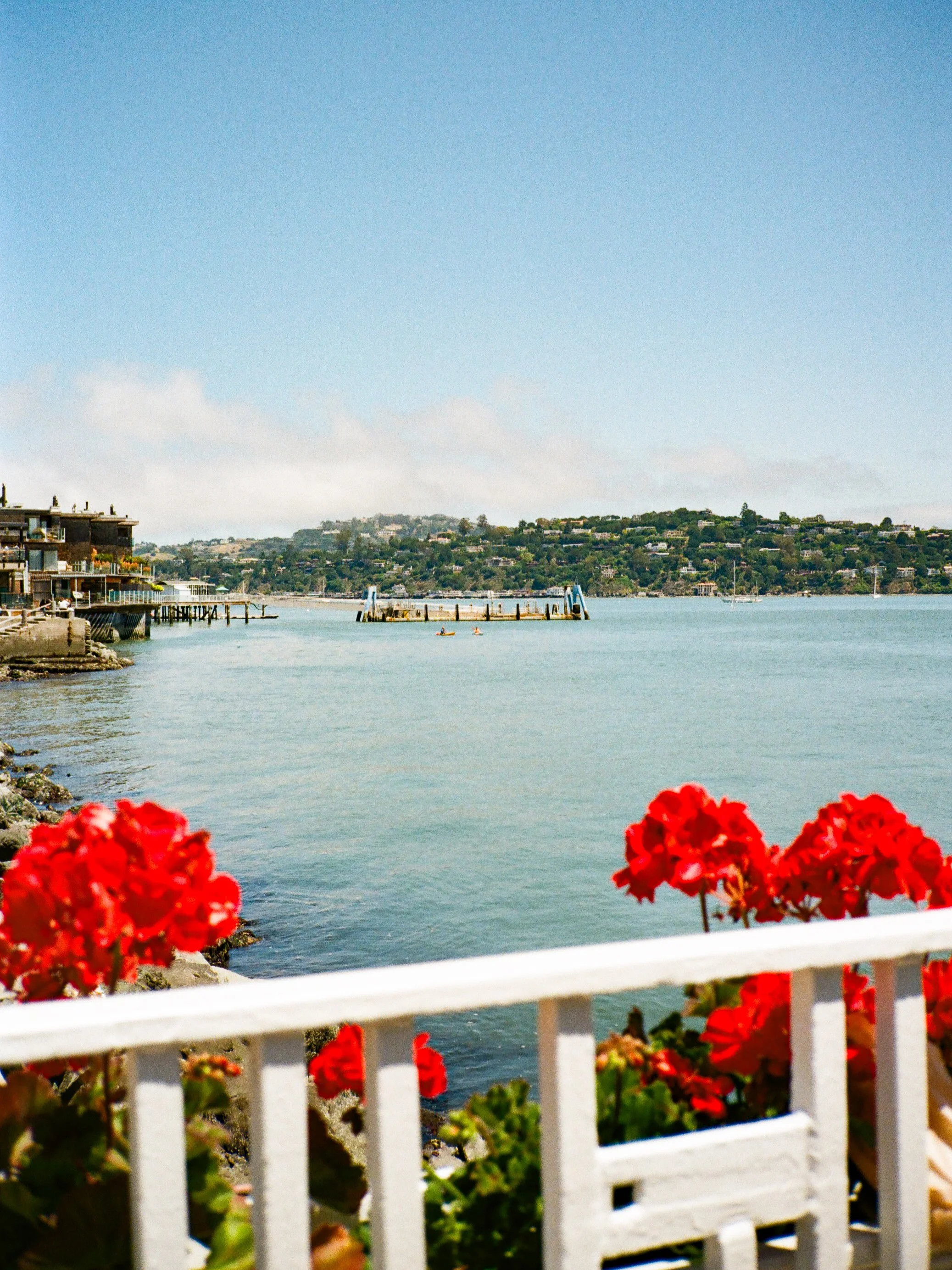 IMG_6336.jpeg