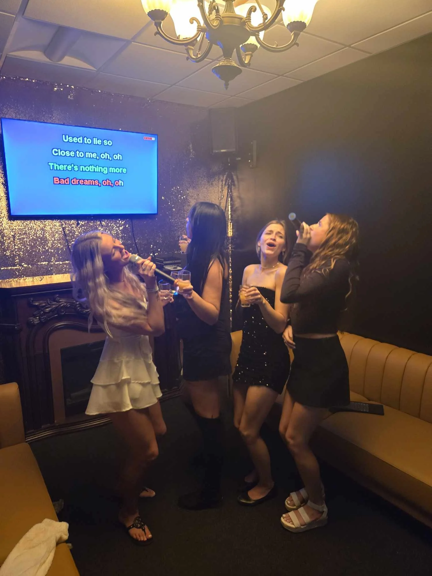 Fun Private Karaoke Room