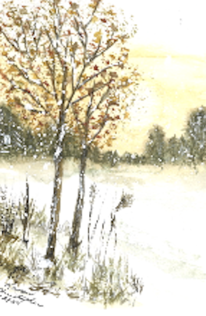 Autumn Freeze