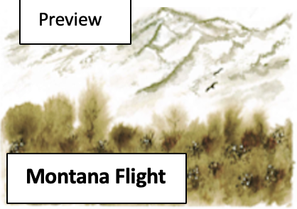 Artwork depicting mountains, clouds, and trees with the text 'Montana Flight' and 'Preview'.