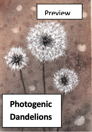 Three dandelions in different stages of seed dispersal on a textured background.