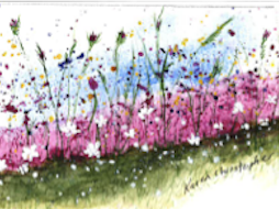 Blooming Spring