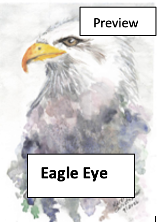 Watercolor style painting of an eagle's head with a focus on its eye.