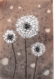 Photogenic Dandelions