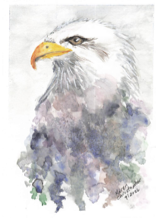 Eagle Eye