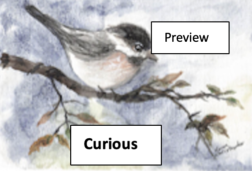 Watercolor painting of a small bird perched on a branch, with the words 'Preview' and 'Curious' overlaid.