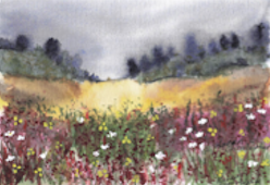 Thunder Fields