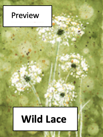Close-up of wild lace flowers with green background and overlay text 'Preview' and 'Wild Lace'.