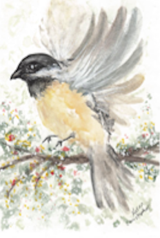 Flying in Blossoms