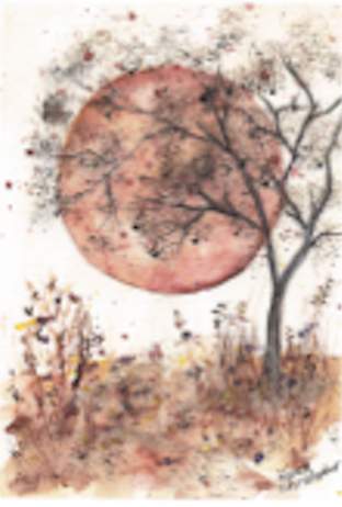 Blushing Sun