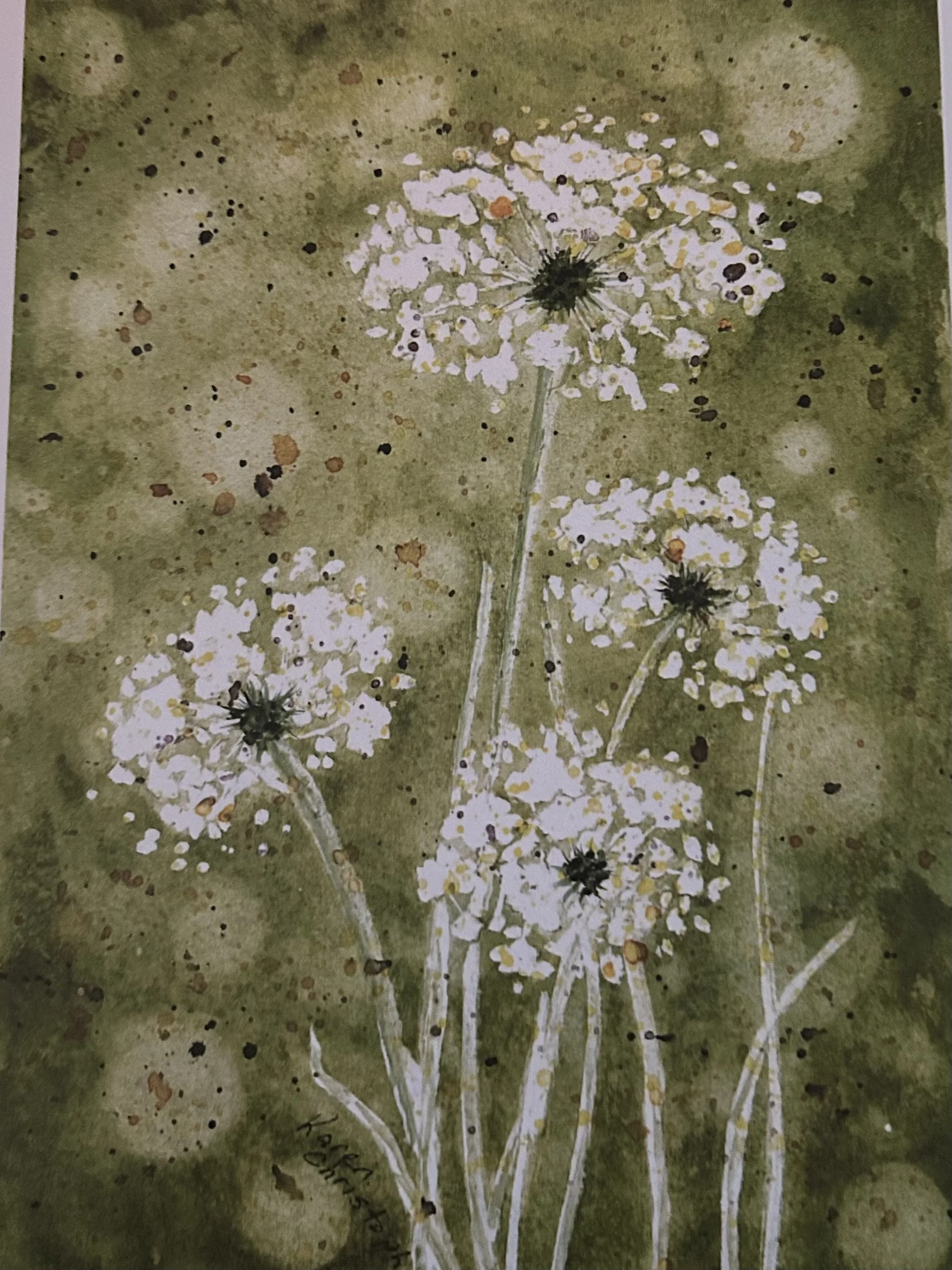 Wild Lace