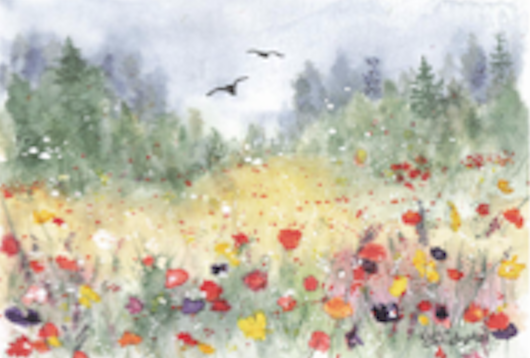 Field of Dreams