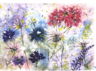 Fireworks Garden