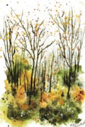 Spotting Autumn