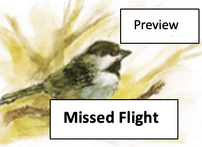 A watercolor painting of a small bird perched on a branch with yellowish background, overlaid with the text 'Missed Flight' and a 'Preview' label.