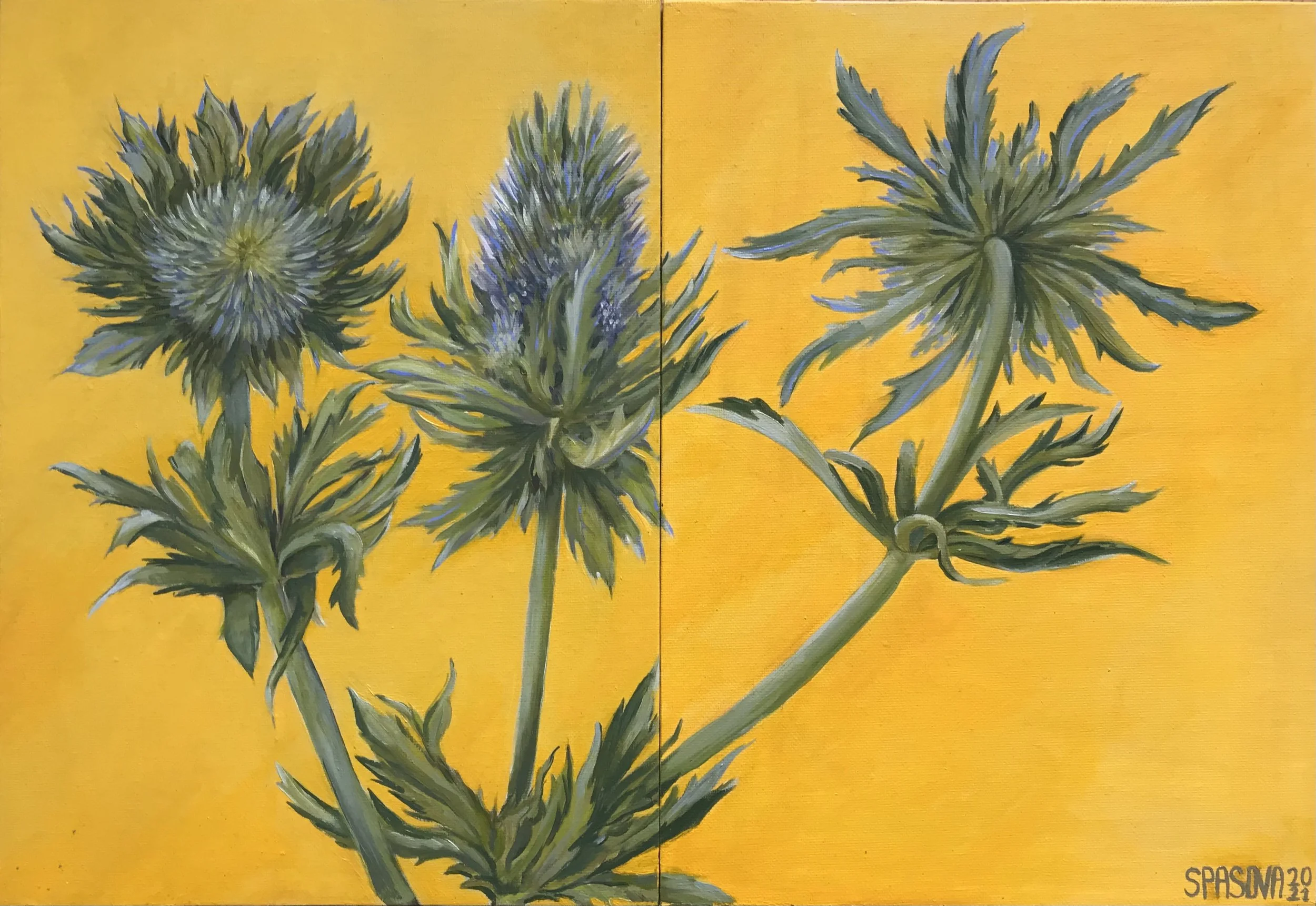 Still Life with Thorns Diptych
