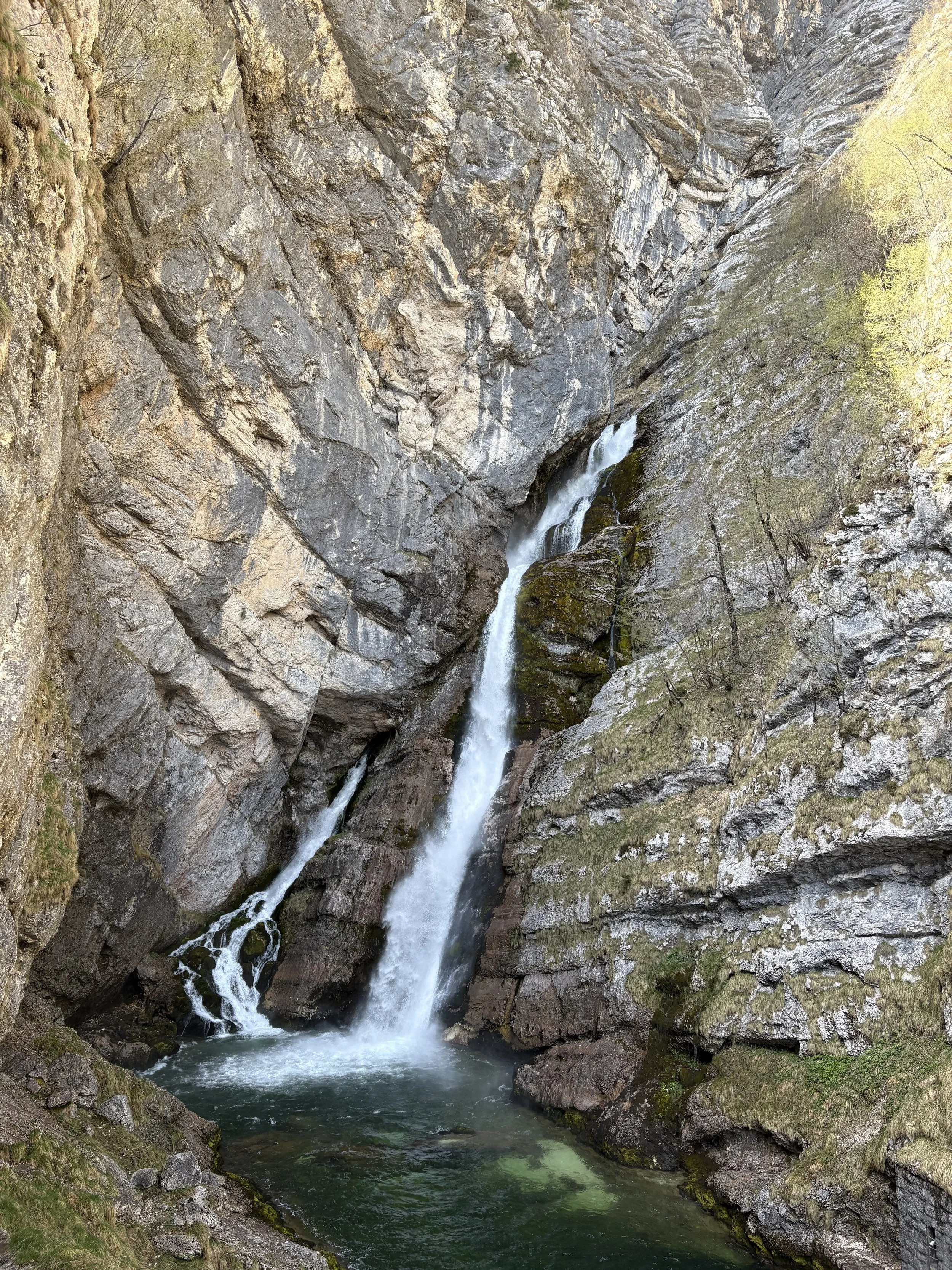 IMG_1486.jpeg