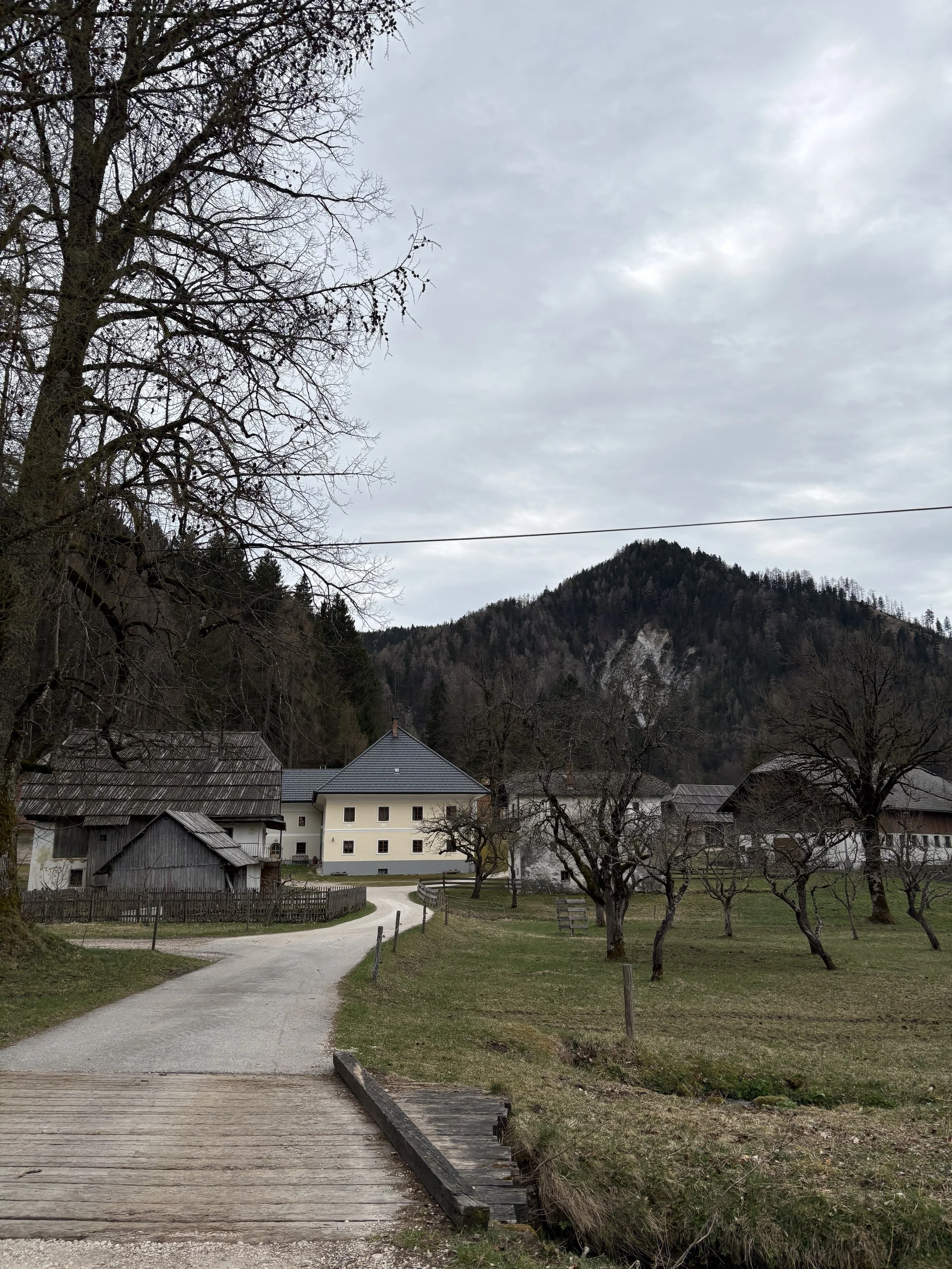 IMG_1522.jpeg