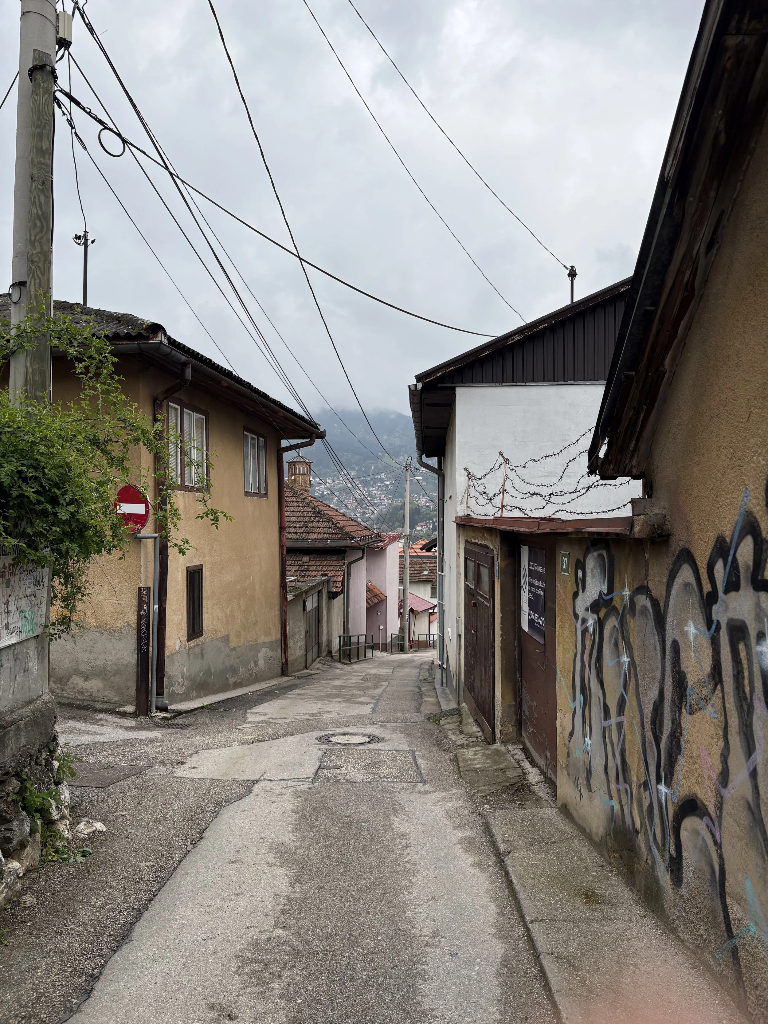 IMG_1985.jpeg