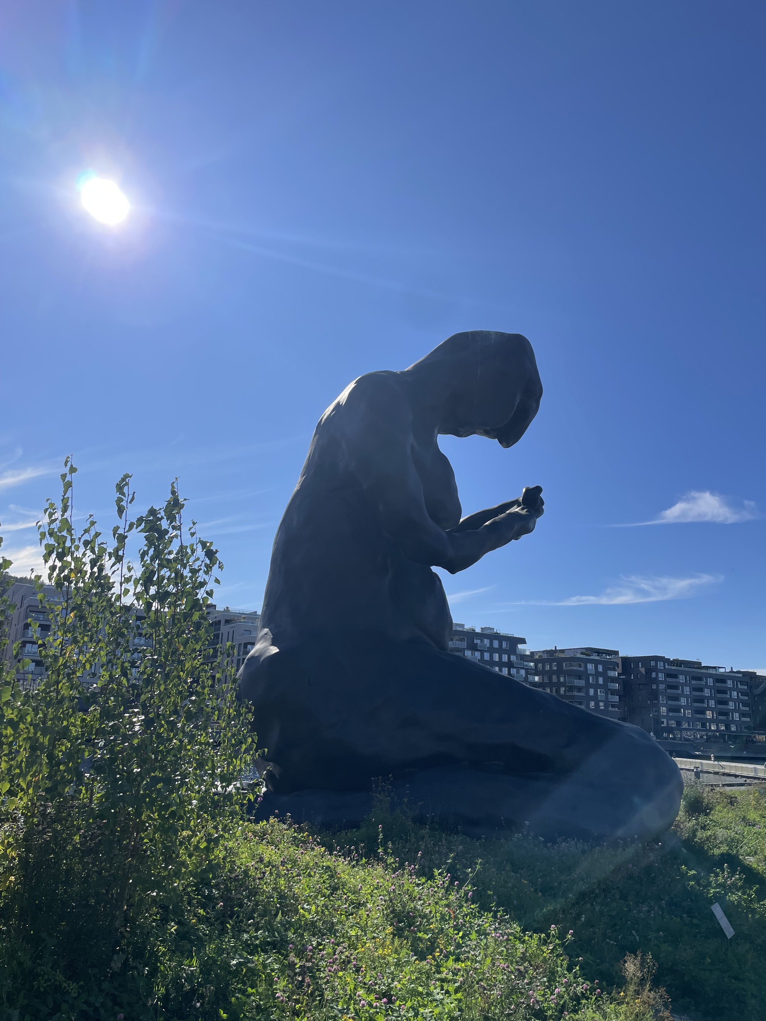 IMG_3240.jpeg