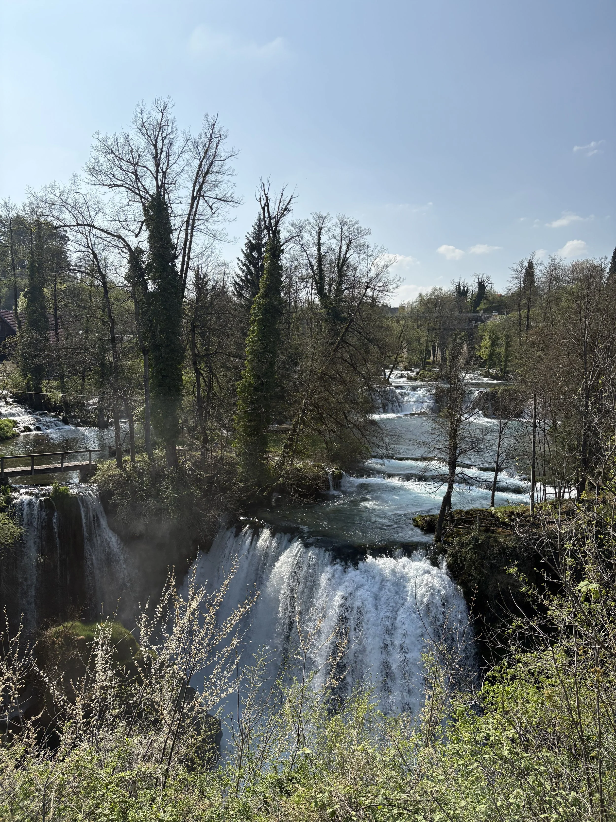 IMG_1790.jpeg