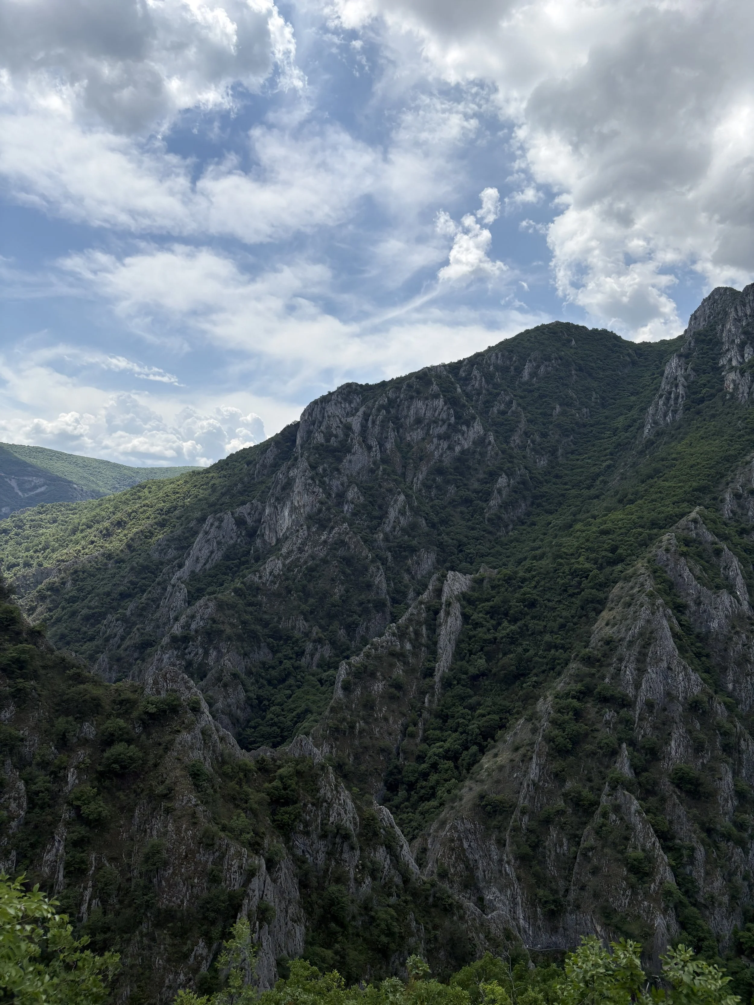 IMG_4550.jpeg