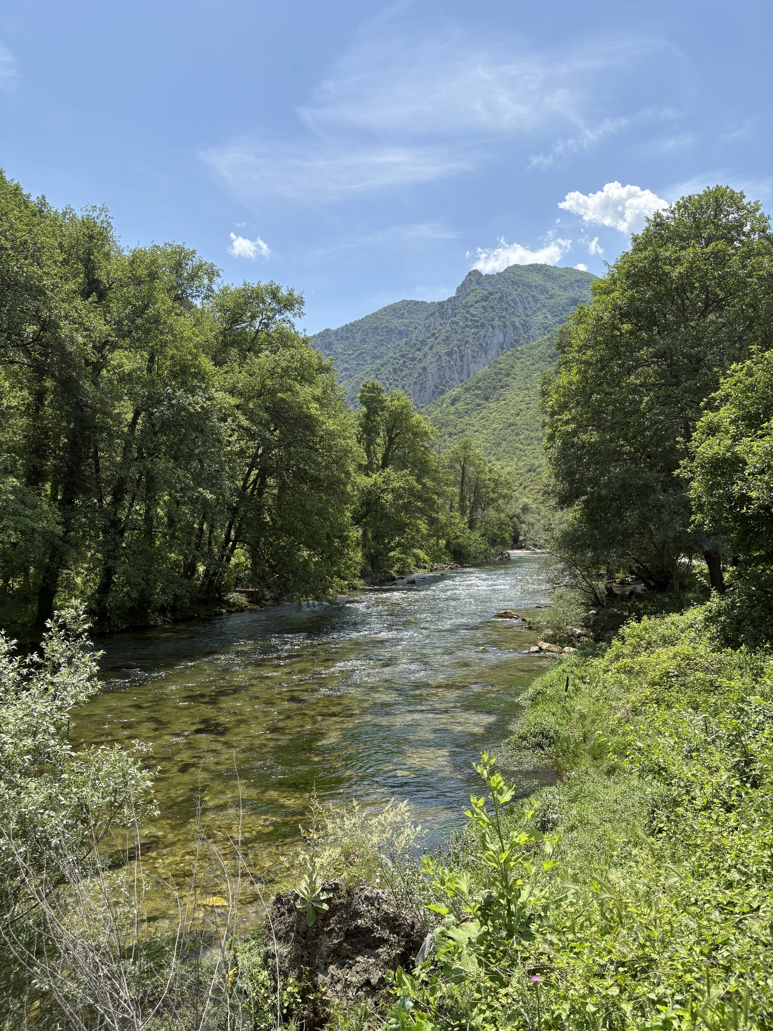IMG_4576 2.jpeg