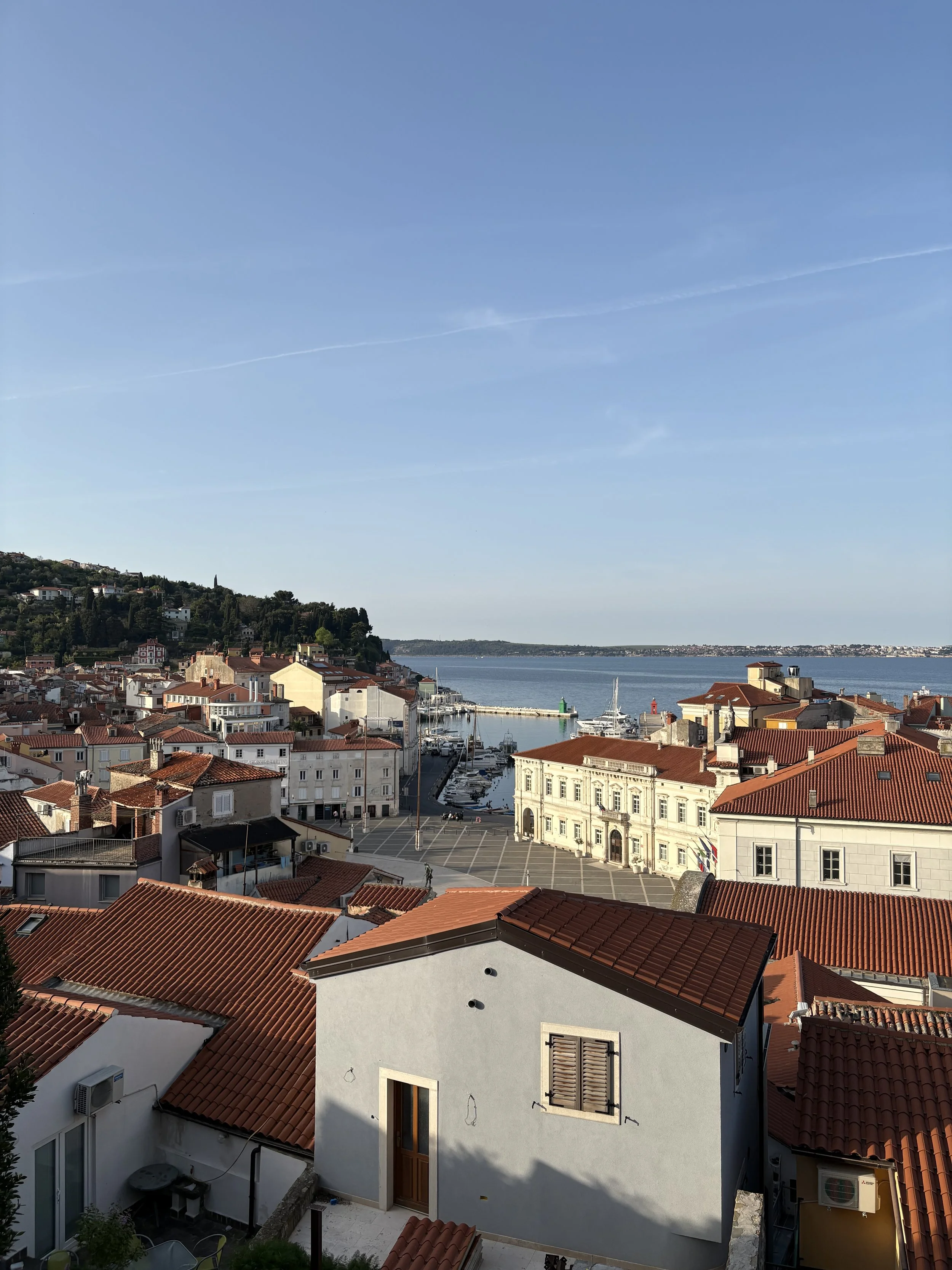 A coastal town with red-tiled rooftops, buildings, a marina with boats, and a large body of water under a clear blue sky.