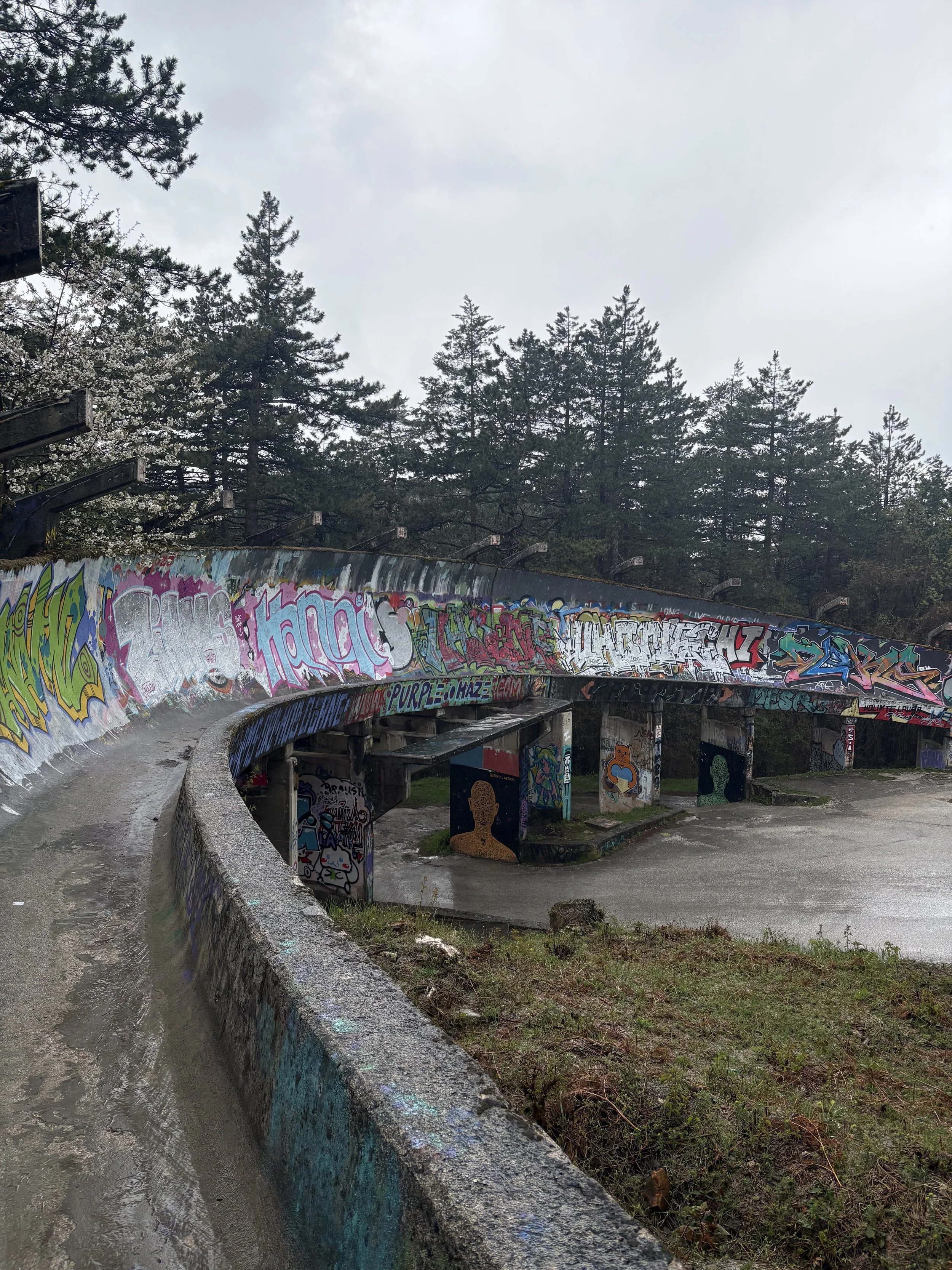 A graffiti-covered skate bowl with a curved concrete wall in an outdoor skate park surrounded by trees and cloudy sky.