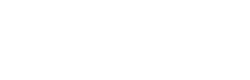 Logo with the words 'Healthy Chef' in bold black and white lettering, with a small cross symbol next to it.