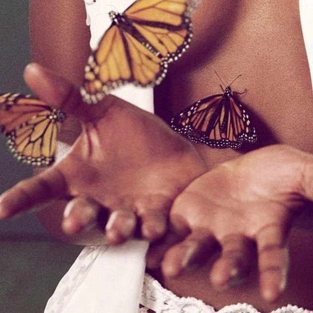 chasing butterflies