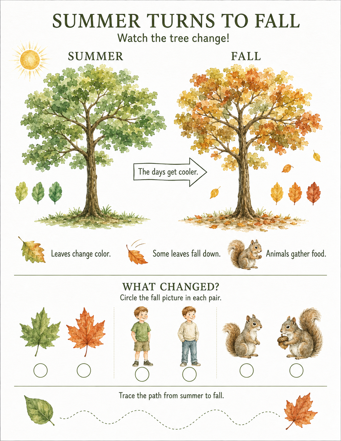 Seasons Changing.png