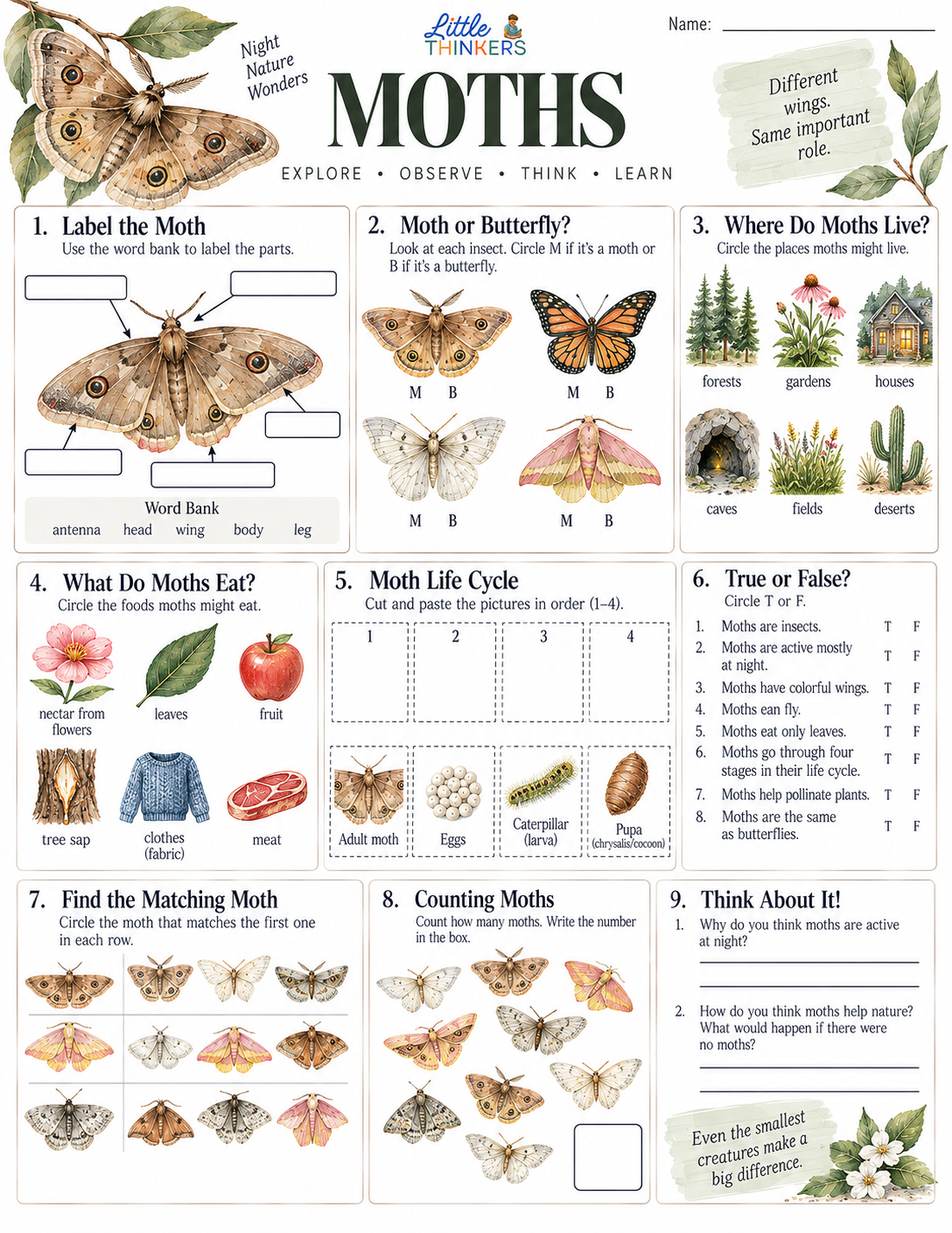 moths.png