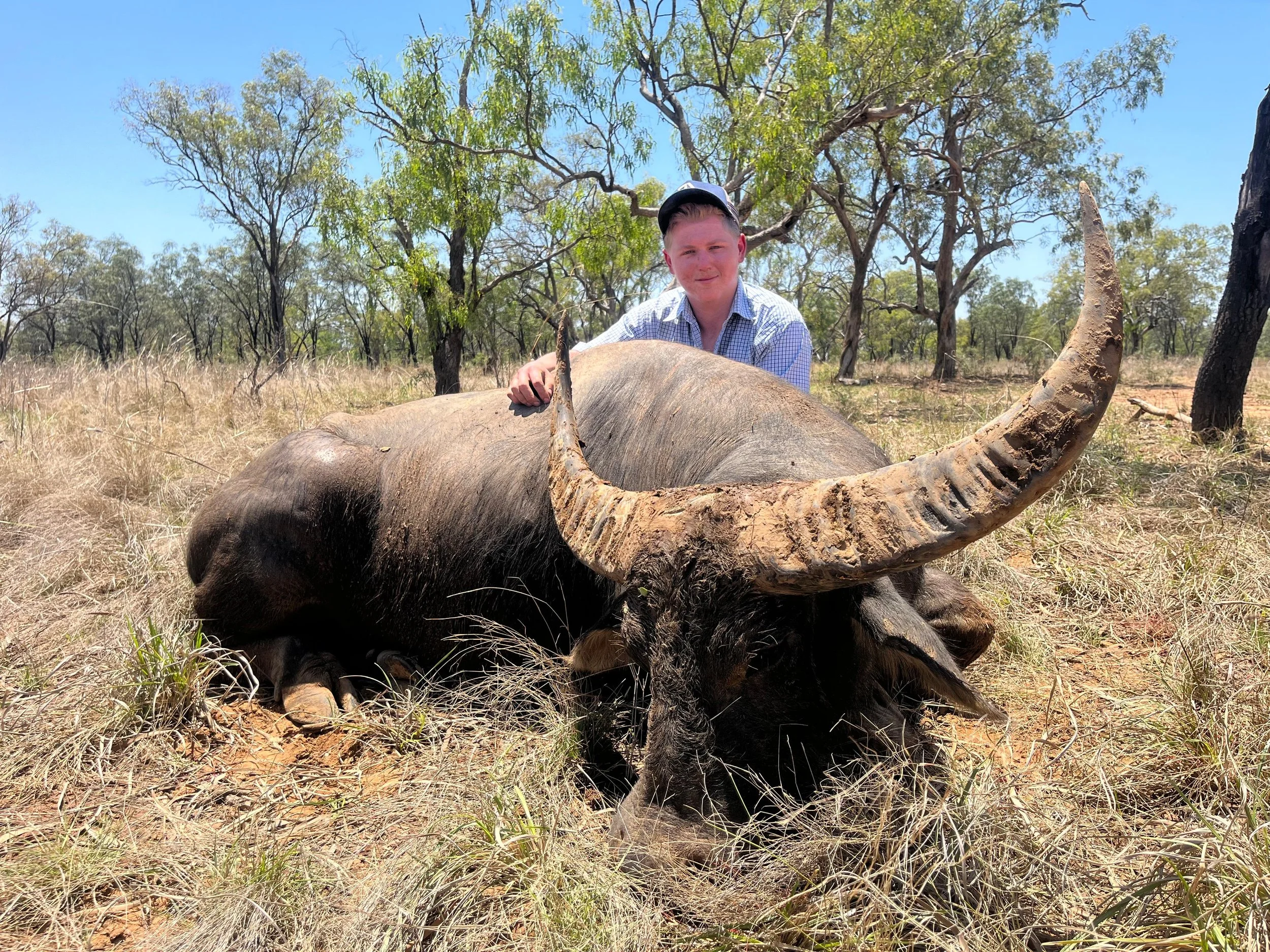 GUIDED BUFFALO HUNTING