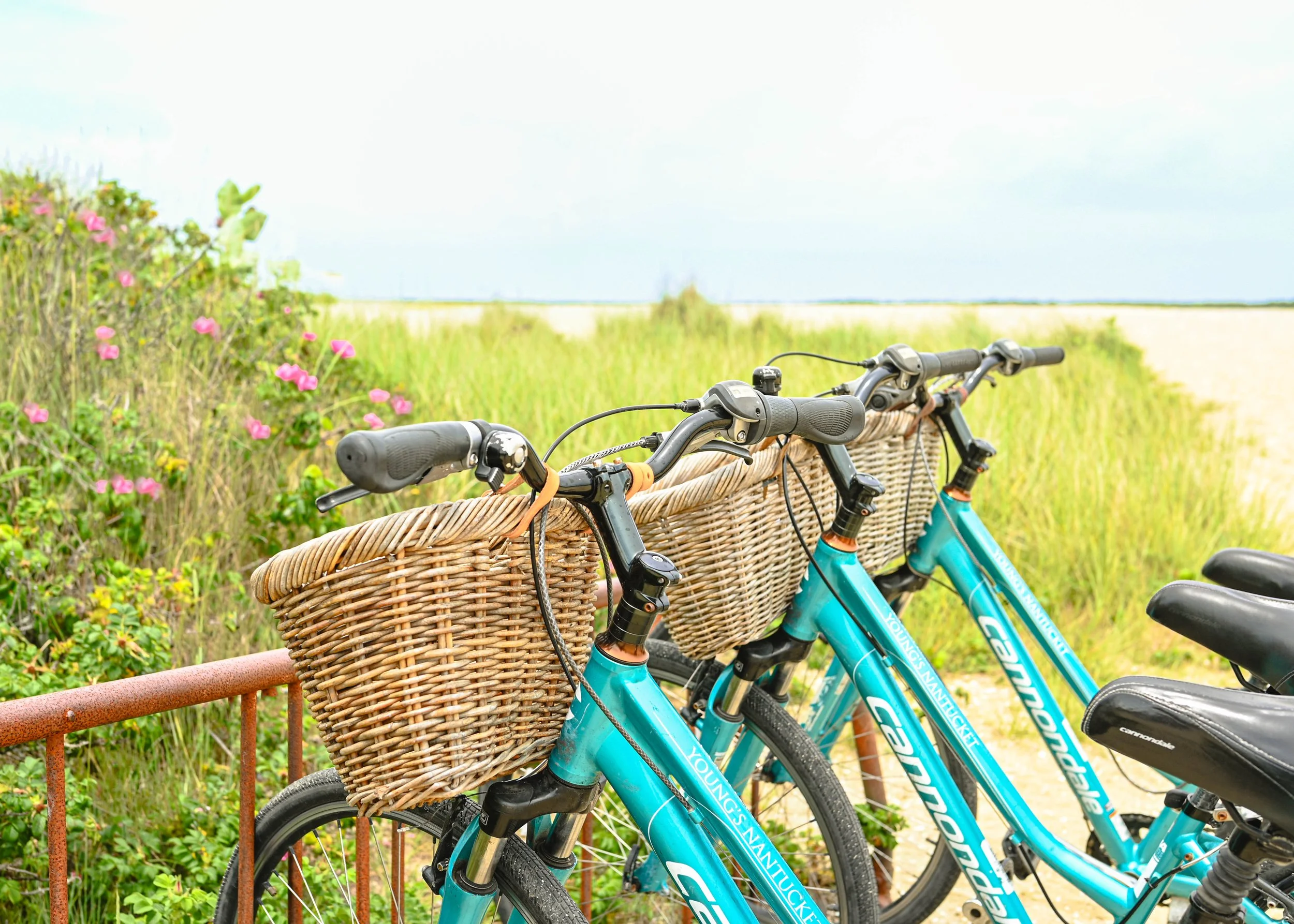 Bicycles on the Beach, Nantucket, 8x10
