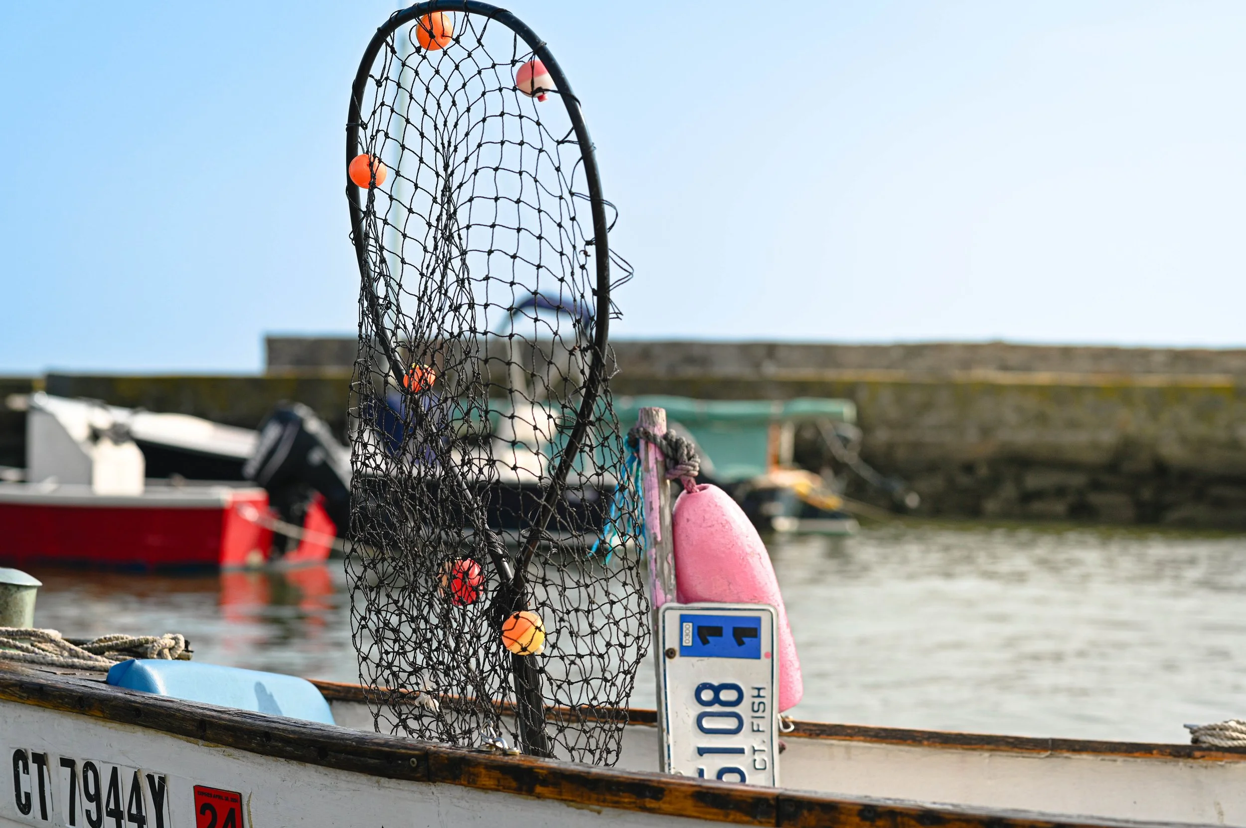 Fishing Net, West Wharf, Madison 5x7