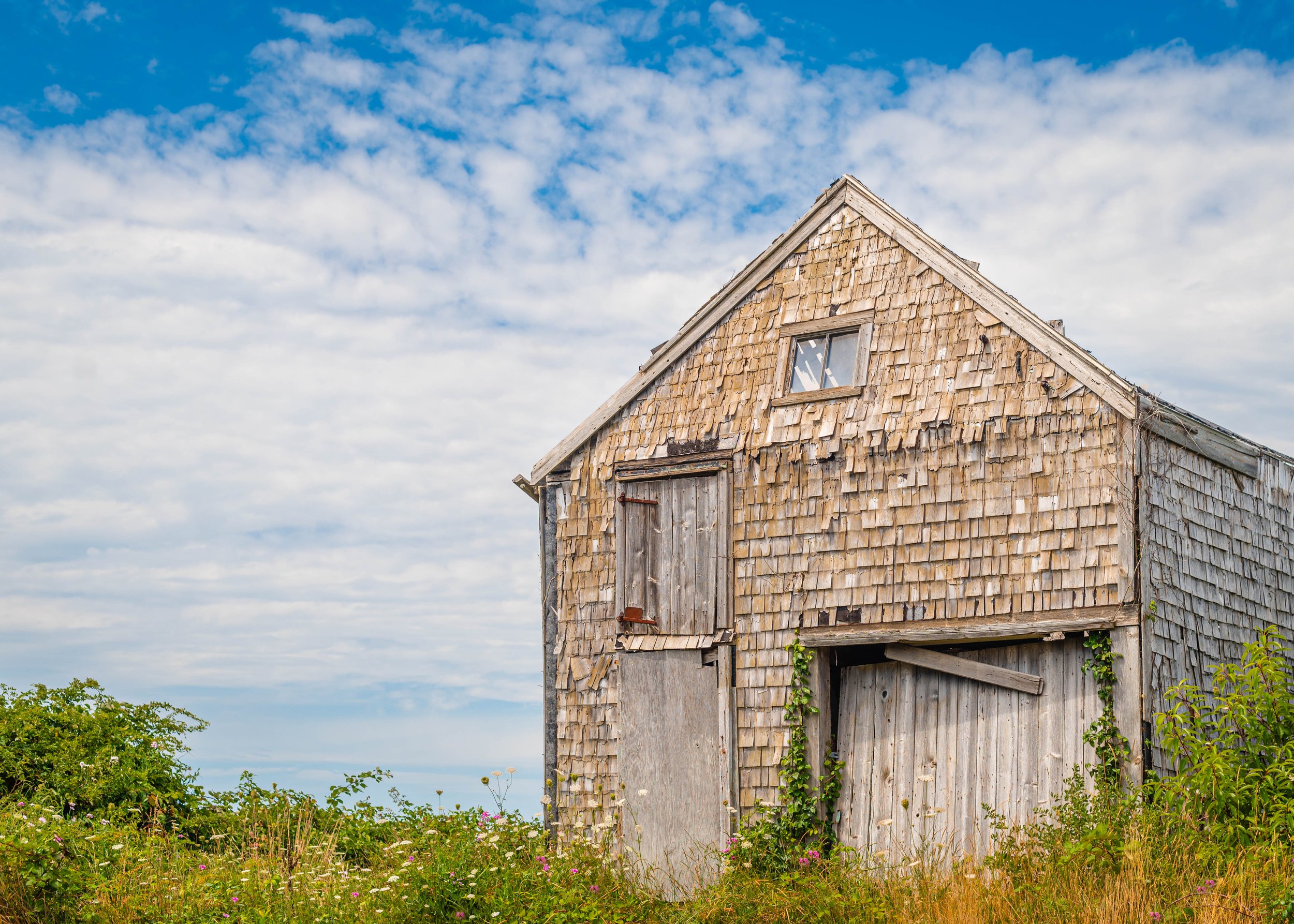 Lone Shack, Block Island 8x10