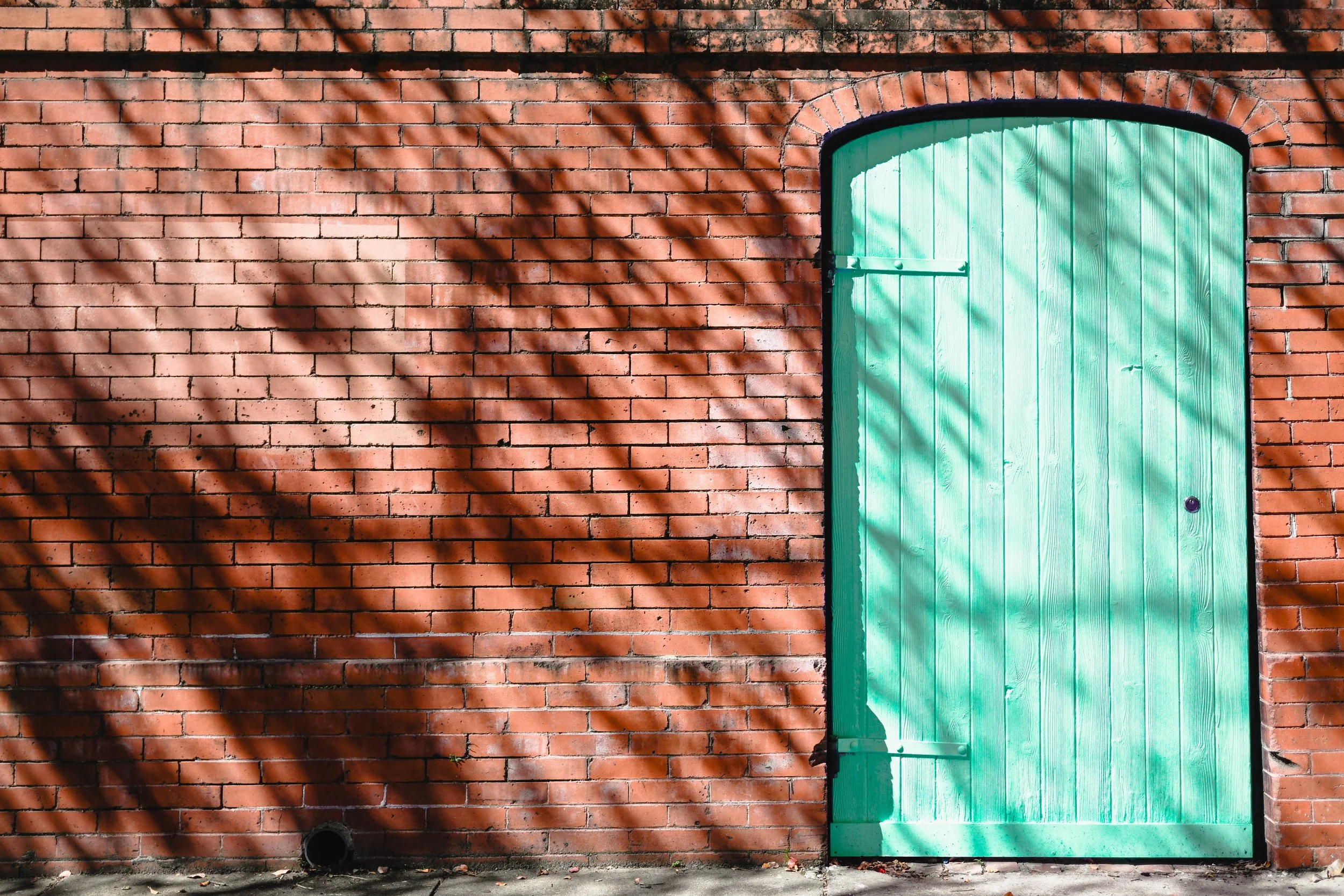 Teal Door, Savannah, GA