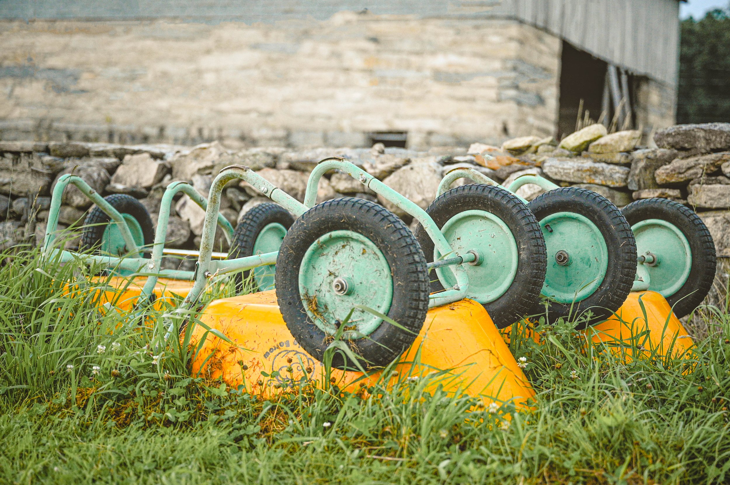 Upturned Wheelbarrows, Buttonwood Farm, 8x10
