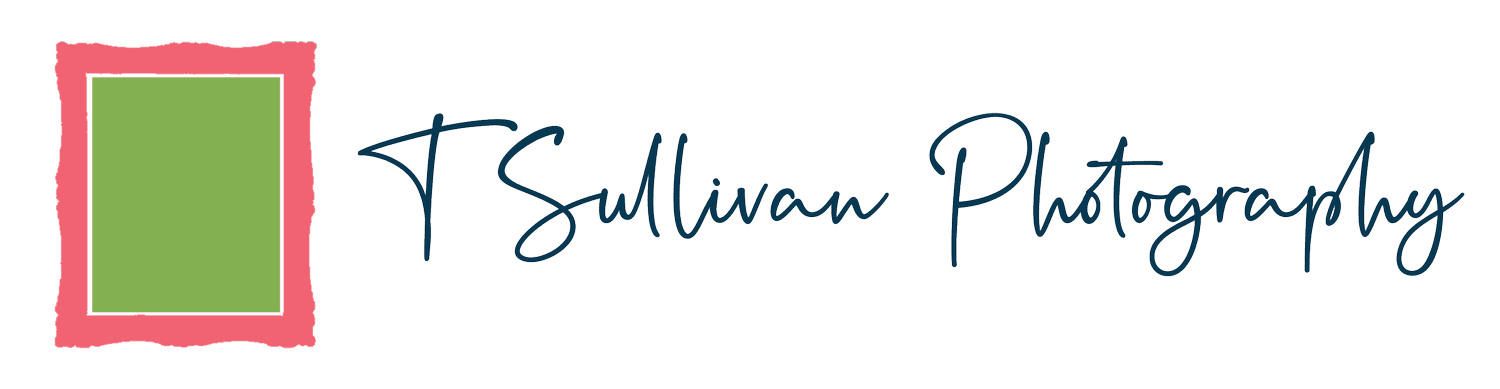 T Sullivan Photography