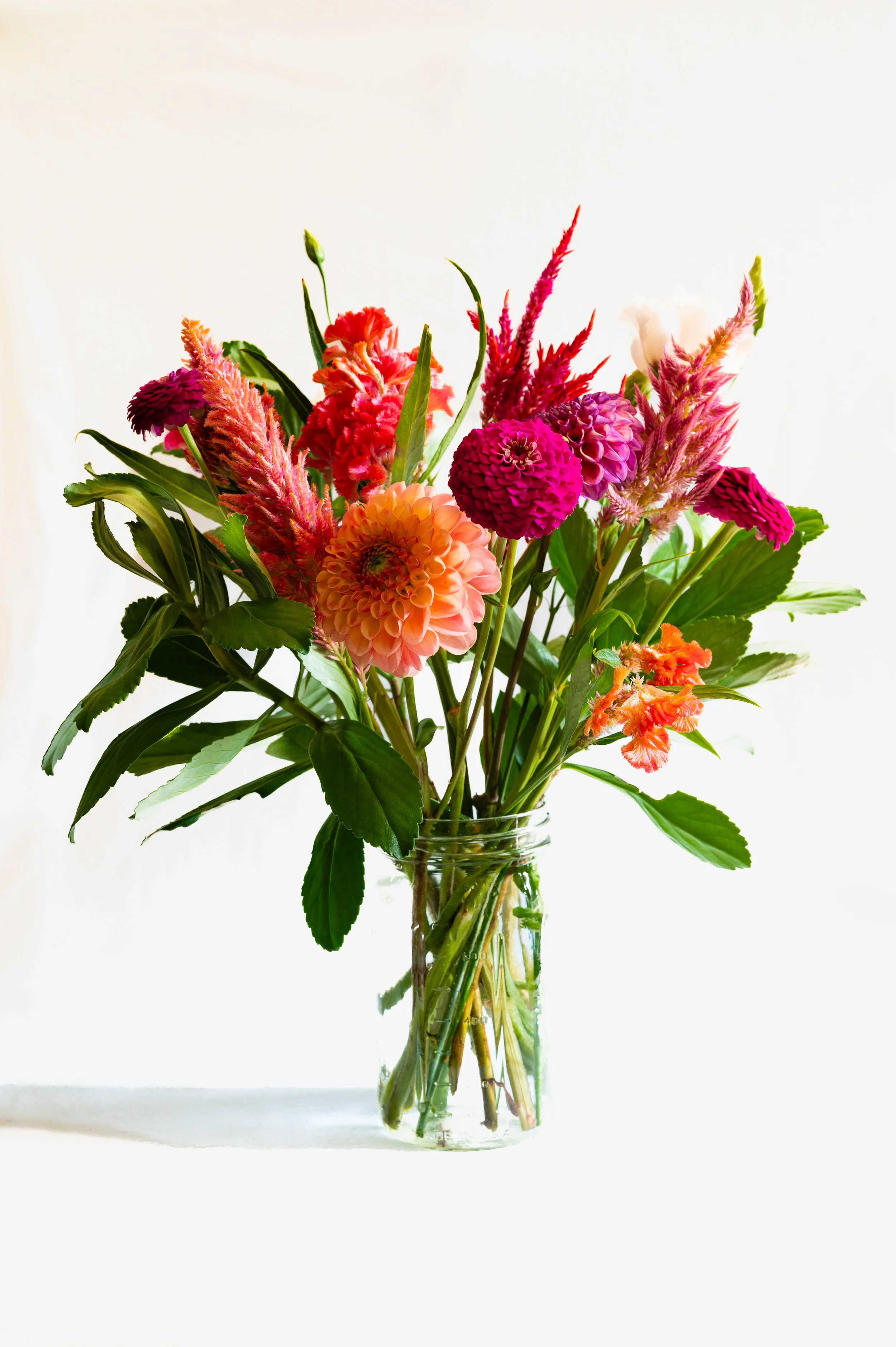 DSC_3696.jpg