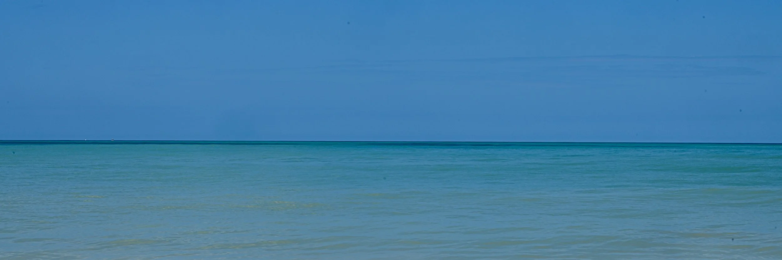 DSC_8265.jpg