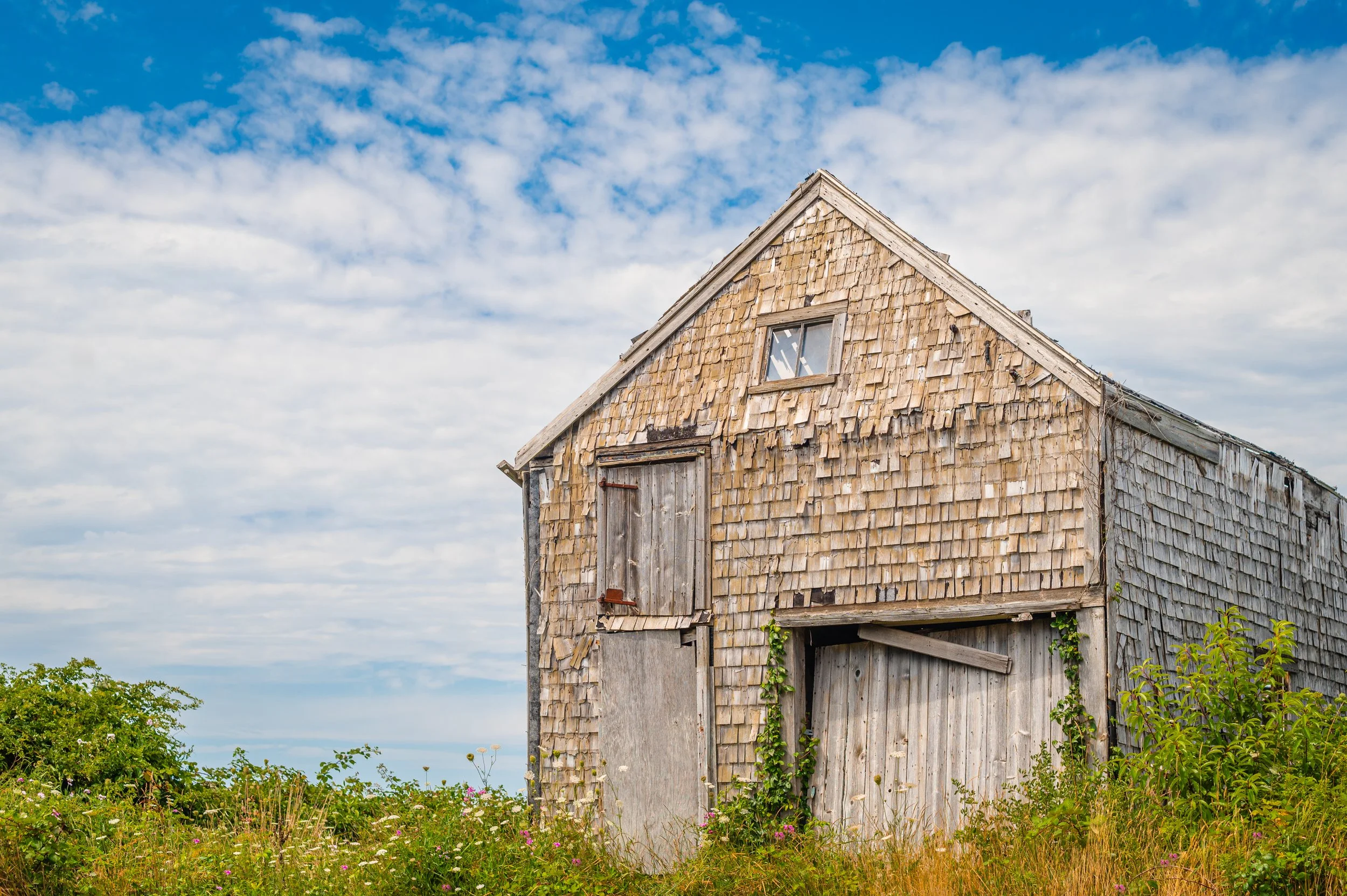 DSC_9296-Edit.jpg