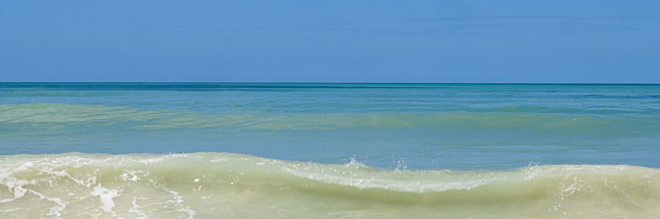 DSC_8261.jpg