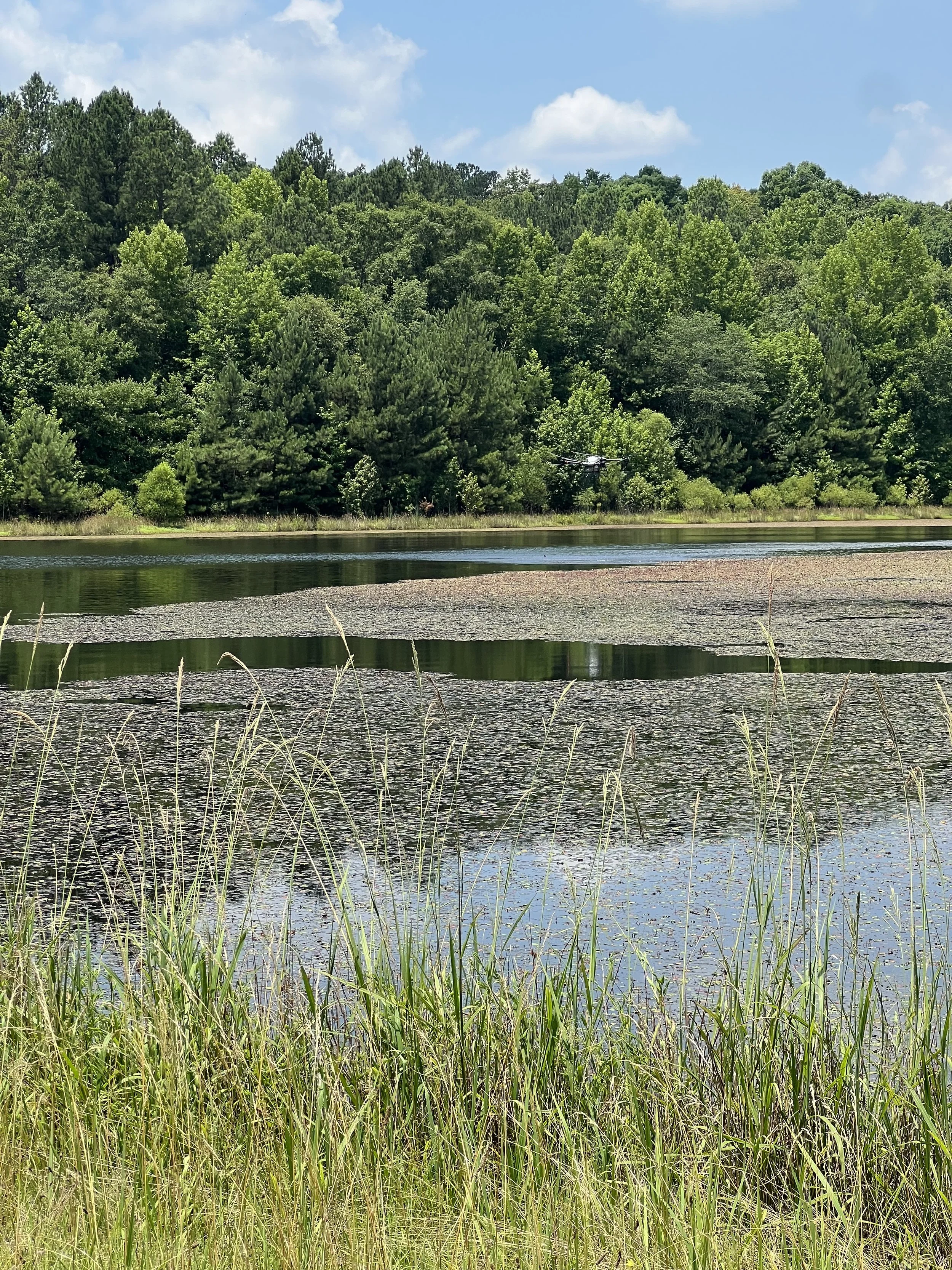 Pond Spraying in South Carolina: Invasive Species Control